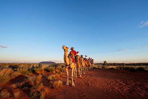 Uluru Small-Group Tour By Camel At Sunrise Or Sunset - Holiday Great Ocean Road 3