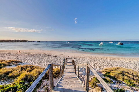 Discover Rottnest With Ferry & Bus Tour From Perth Or Fremantle - Holiday Great Ocean Road 4