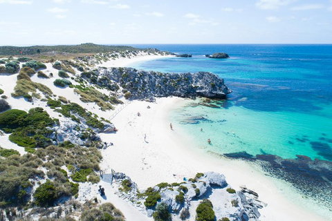 Discover Rottnest With Ferry & Bus Tour From Perth Or Fremantle - Holiday Great Ocean Road 5