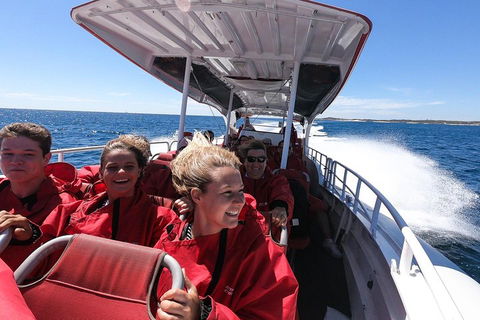 Adventure Rottnest Tour With Ferry & Adventure Cruise From Perth Or Fremantle - Holiday Great Ocean Road 0