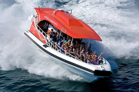 Adventure Rottnest Tour With Ferry & Adventure Cruise From Perth Or Fremantle - Holiday Great Ocean Road 2