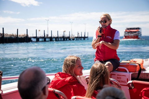 Adventure Rottnest Tour With Ferry & Adventure Cruise From Perth Or Fremantle - Holiday Great Ocean Road 4