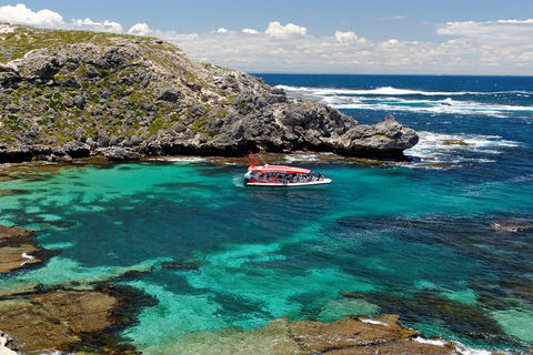 Adventure Rottnest Tour With Ferry & Adventure Cruise From Perth Or Fremantle - Holiday Great Ocean Road 5