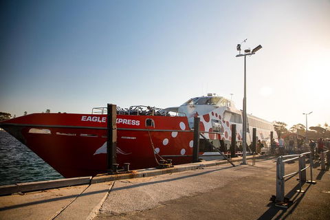 Rottnest Island Round-Trip Ferry From Perth Or Fremantle - Holiday Great Ocean Road 2