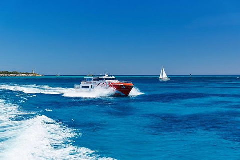Rottnest Island Round-Trip Ferry From Perth Or Fremantle - Holiday Great Ocean Road 4
