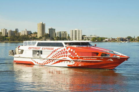 Rottnest Island Round-Trip Ferry From Perth Or Fremantle - Holiday Great Ocean Road 5