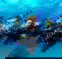 Great Barrier Reef Diving and Snorkeling Cruise from Cairns - Holiday Great Ocean Road