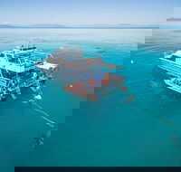 Ocean Freedom Great Barrier Reef Personal Luxury Snorkel  Dive Cruise Cairns - Holiday Great Ocean Road