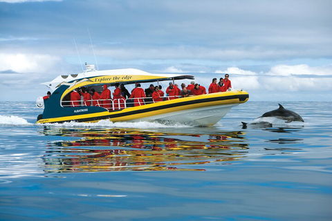 Tasman Island Cruises And Port Arthur Historic Site Day Tour From Hobart - Holiday Great Ocean Road 3