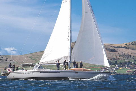 Half-Day Sailing On The Derwent River From Hobart - Holiday Great Ocean Road 1