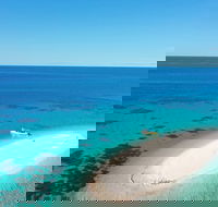 Ocean Safari Great Barrier Reef Experience in Cape Tribulation - Holiday Great Ocean Road