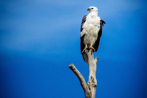 Kangaroo Island 75-Minute Ocean Safari - Holiday Great Ocean Road 0