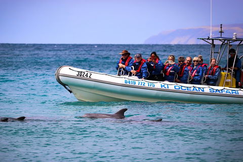 Kangaroo Island 75-Minute Ocean Safari - Holiday Great Ocean Road 4