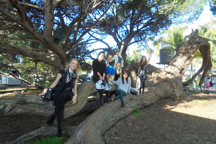 Holiday Great Ocean Road