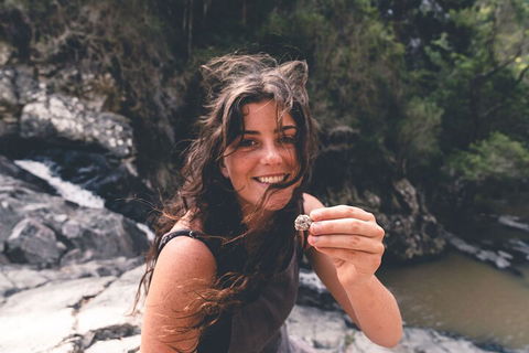 Springbrook AndTamborine Rainforest Tour Incl Natural Bridge And Glow Worm Cave - Holiday Great Ocean Road 1