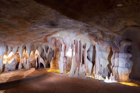 Springbrook AndTamborine Rainforest Tour Incl Natural Bridge And Glow Worm Cave - Holiday Great Ocean Road 4