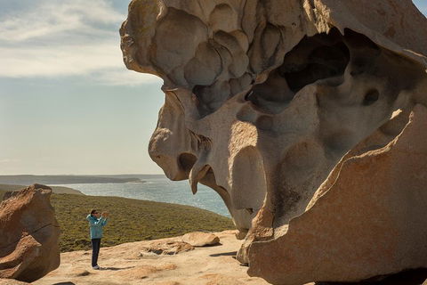 Kangaroo Island In A Day Tour From Adelaide - Holiday Great Ocean Road 5