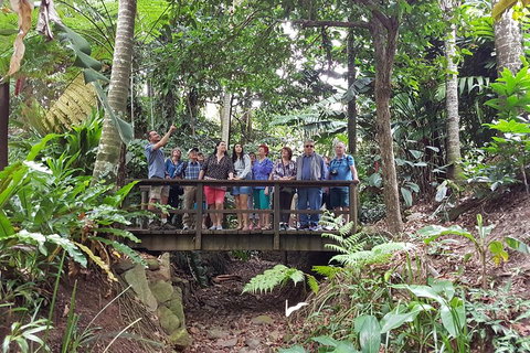 Cairns Shore Excursion: Cairns City Sights & Surrounds Tour - Holiday Great Ocean Road 1