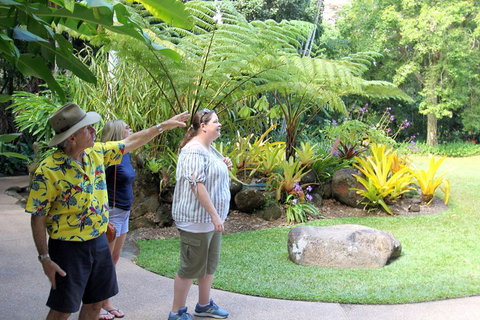 Cairns Shore Excursion: Cairns City Sights & Surrounds Tour - Holiday Great Ocean Road 4