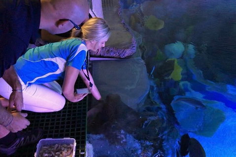 Cairns Aquarium Marine Life Encounter Ticket With 2-Course Lunch - Holiday Great Ocean Road 2