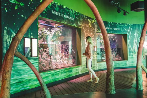 Cairns Aquarium Marine Life Encounter Ticket With 2-Course Lunch - Holiday Great Ocean Road 3