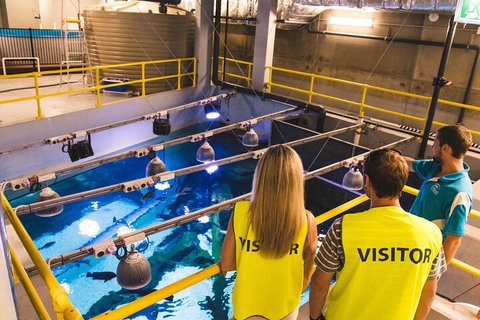 Cairns Aquarium Marine Life Encounter Ticket With 2-Course Lunch - Holiday Great Ocean Road 5