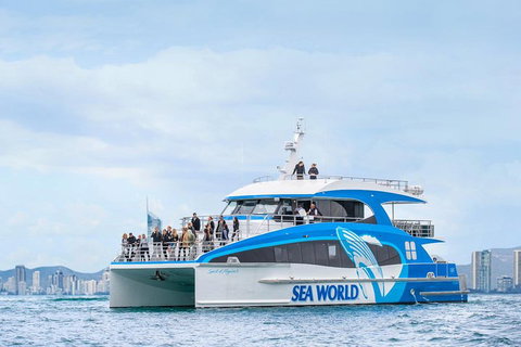 Whale Watching By Sea World Cruises - Holiday Great Ocean Road 3