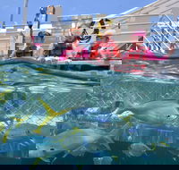Outer Reef Pontoon Experience from Cairns - Holiday Great Ocean Road