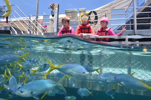 Outer Reef Pontoon Experience From Cairns - Holiday Great Ocean Road 0