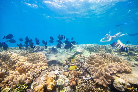 Outer Reef Pontoon Experience From Cairns - Holiday Great Ocean Road 4