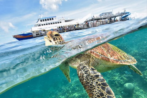 Outer Reef Pontoon Experience From Cairns - Holiday Great Ocean Road 5