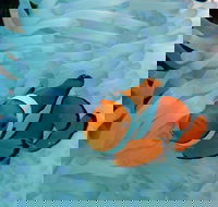 Seastar Luxury Outer Great Barrier Reef Island and Reef Tour from Cairns - Holiday Great Ocean Road