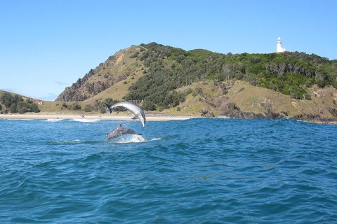 Kayaking With Dolphins In Byron Bay Guided Tour - Holiday Great Ocean Road 0