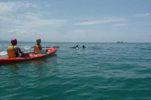 Kayaking With Dolphins In Byron Bay Guided Tour - Holiday Great Ocean Road 4