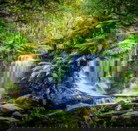 Day Tour in Mt. Field Mt. Wellington Bonorong Wildlife Sanctuary and Richmond - Holiday Great Ocean Road