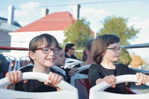 Hobart Hop-on Hop-off Bus Tour - Holiday Great Ocean Road 4