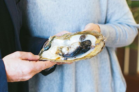 Half-Day Willie Creek Pearl Farm Tour With Helicopter Flight - Holiday Great Ocean Road 3