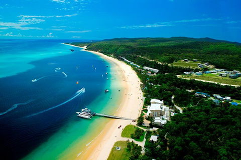 Tangalooma Island Resort Whale Watching Day Cruise - Holiday Great Ocean Road 2