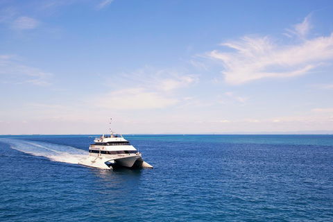 Tangalooma Island Resort Whale Watching Day Cruise - Holiday Great Ocean Road 5