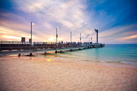 Tangalooma Island Resort Whale Watching Day Cruise With Dolphin Viewing - Holiday Great Ocean Road 3