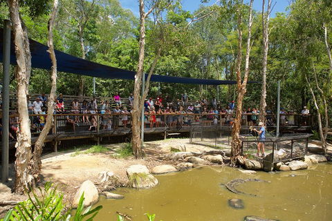 Hartley's Crocodile Adventures Breakfast With The Koalas - Holiday Great Ocean Road 1