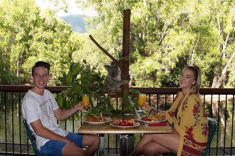 Hartley's Crocodile Adventures Breakfast With The Koalas - Holiday Great Ocean Road 5