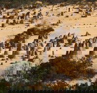 Pinnacles Sunset Dinner and Stargazing Experience a Small Group Tour - Holiday Great Ocean Road