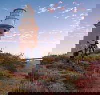 6-Day Coral Coaster from Perth to Exmouth One-Way via Monkey Mia Ningaloo Reef - Holiday Great Ocean Road