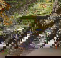 Adelaide Highlights Hahndorf  McLaren Vale Wine Tasting and Sightseeing Tour - Holiday Great Ocean Road
