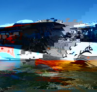 Paradise Jet Boating and Aquaduck Combo - Holiday Great Ocean Road