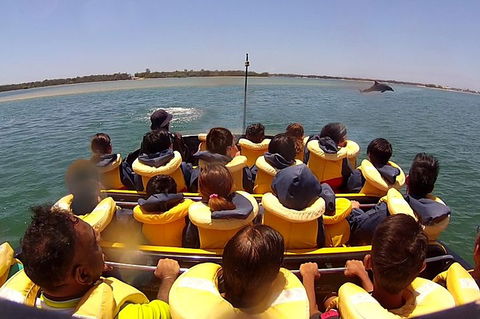 Jet Boat Express Ride - 30mins - Holiday Great Ocean Road 5