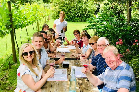 Mount Tamborine Wine Tasting Tour From Brisbane Or The Gold Coast - Holiday Great Ocean Road 5