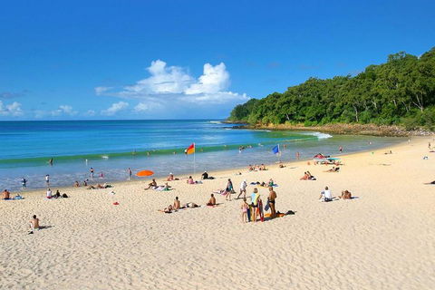 Noosa Everglades Serenity Cruise & Highlights Tour Inc. Lunch & Cruise - Holiday Great Ocean Road 4