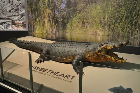 Explore Darwin City Sights Including Key Attractions - Holiday Great Ocean Road 2